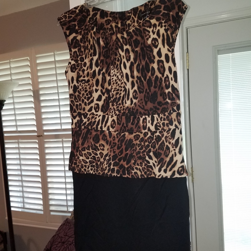 Animal Print Dress